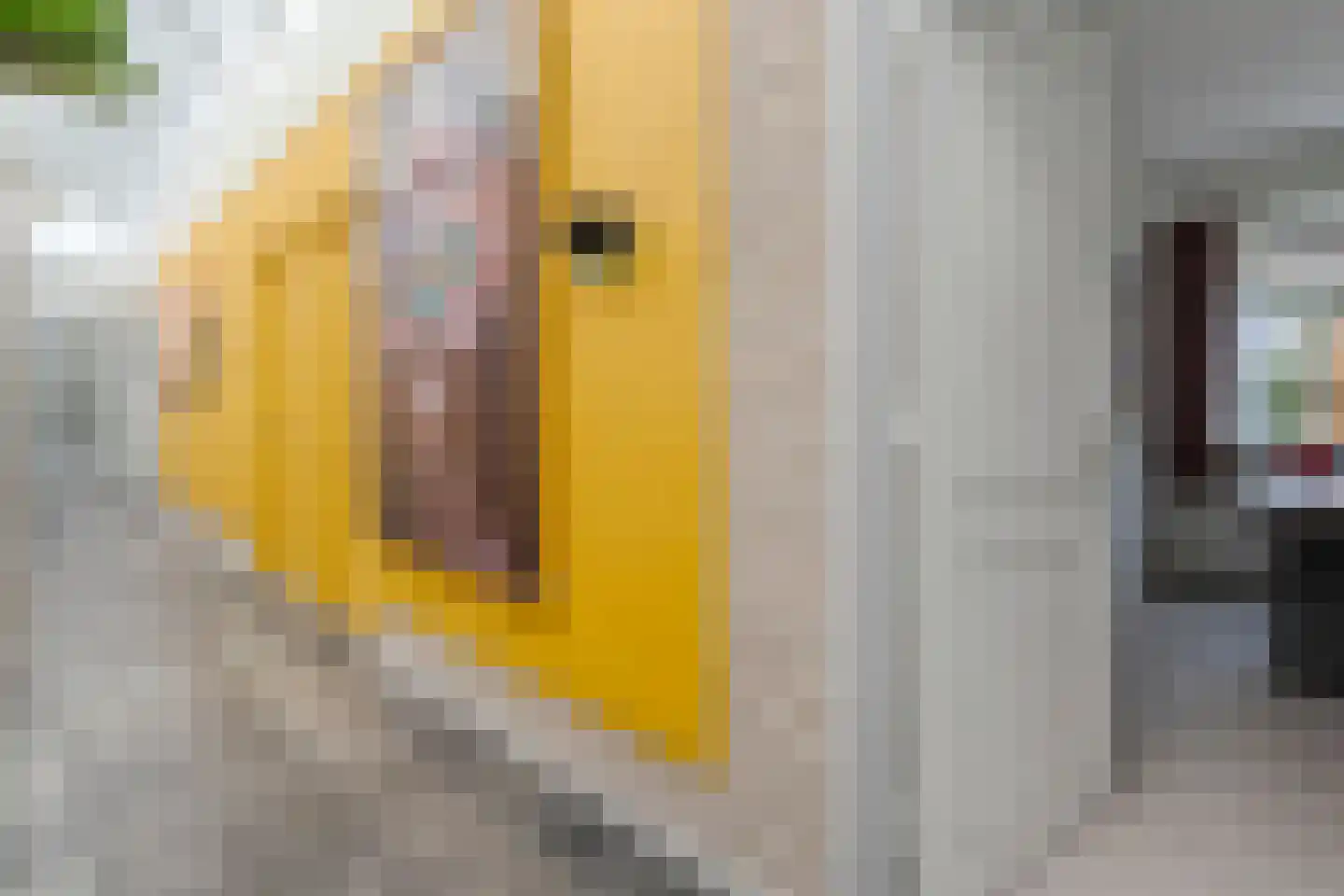 Bornerbroeksestraat 457 f Almelo thumbnail 33