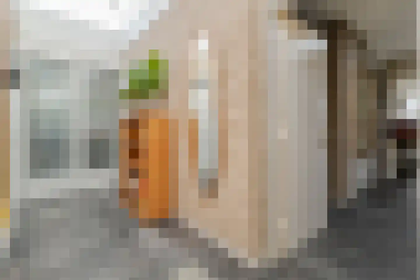Bornerbroeksestraat 457 f Almelo thumbnail 35