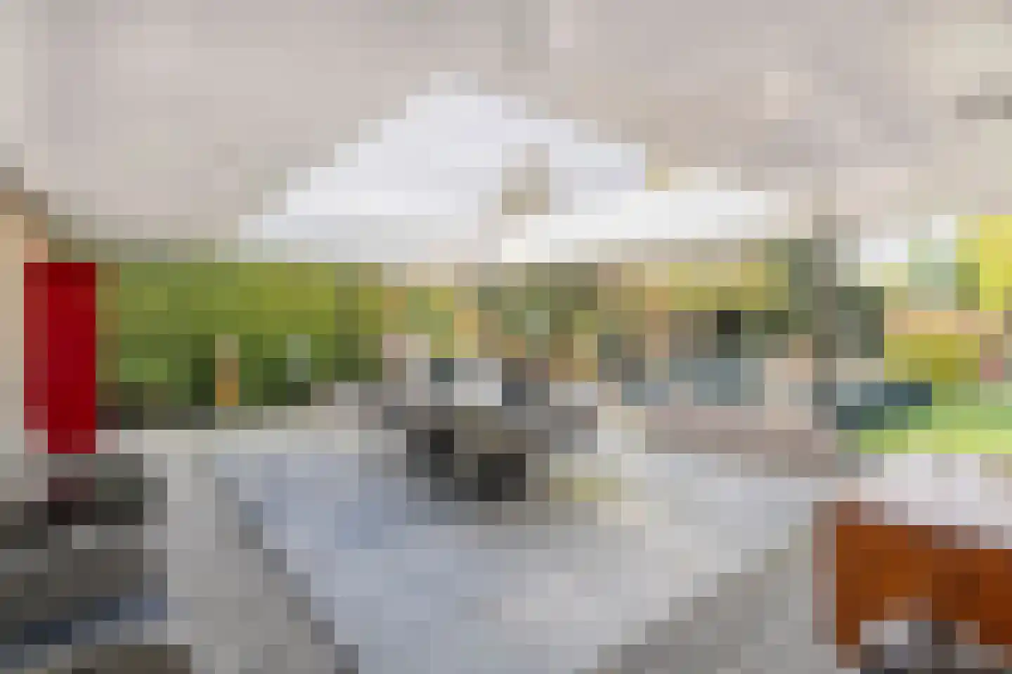 Bornerbroeksestraat 457 f Almelo thumbnail 38