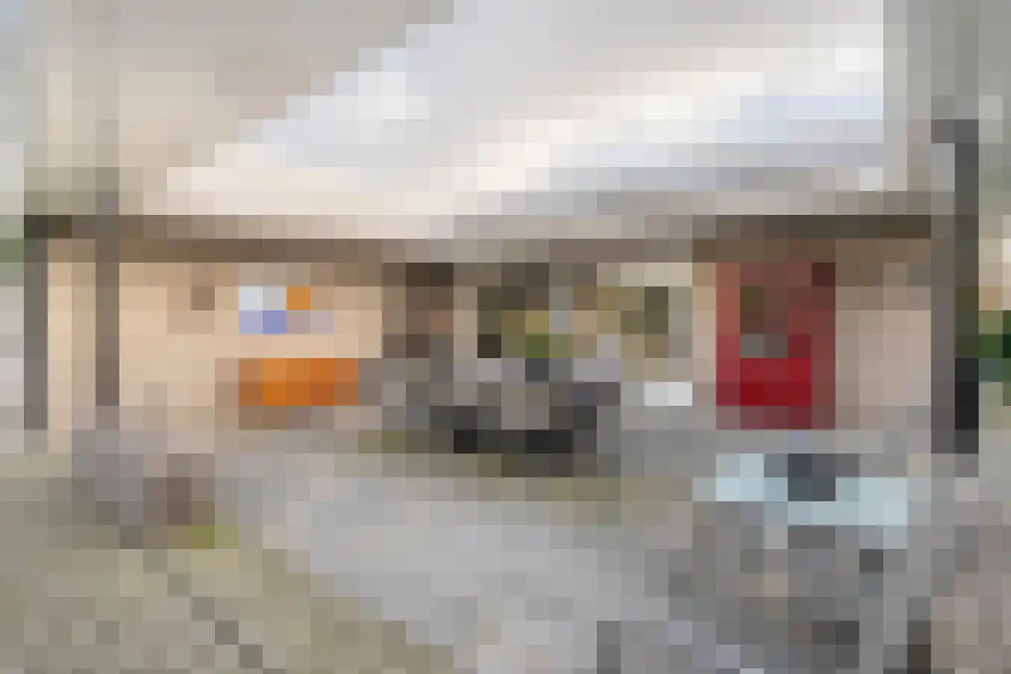 Bornerbroeksestraat 457 f Almelo thumbnail 39