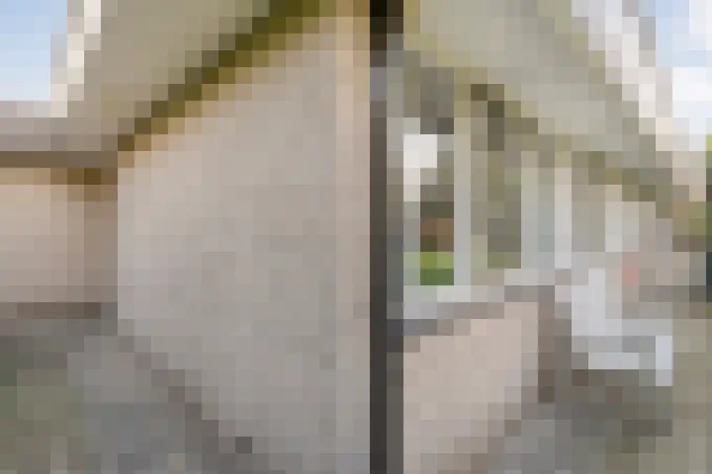 Bornerbroeksestraat 457 f Almelo thumbnail 40