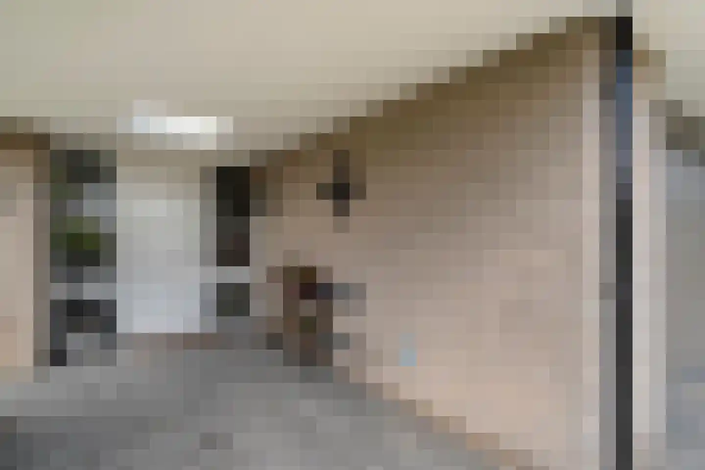 Bornerbroeksestraat 457 f Almelo thumbnail 5
