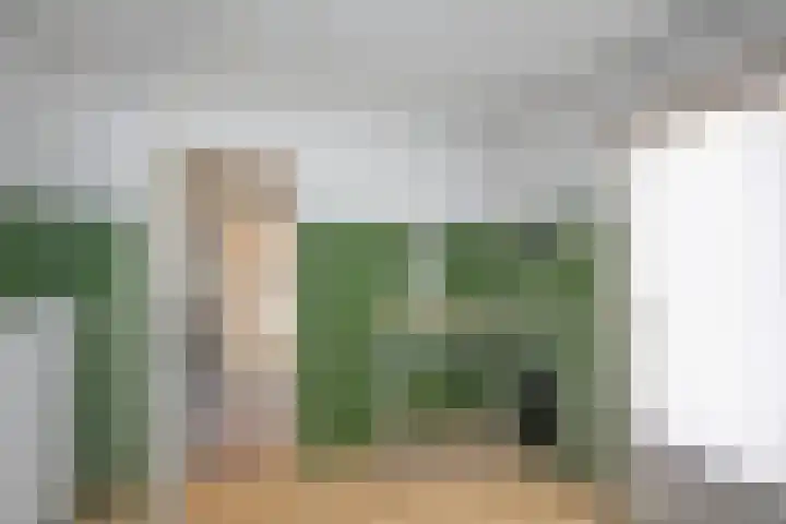 Bornerbroeksestraat 55 Borne thumbnail 14