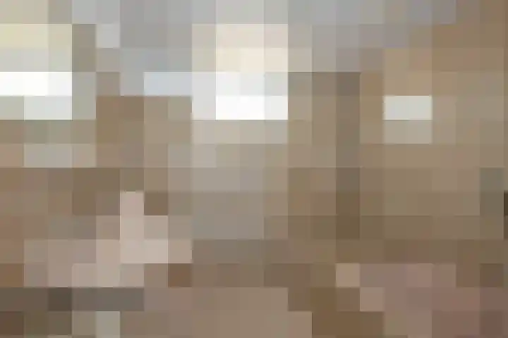 Bornerbroeksestraat 55 Borne thumbnail 15