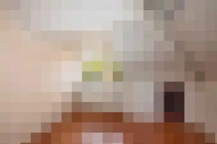 Bornerbroeksestraat 55 Borne thumbnail 26