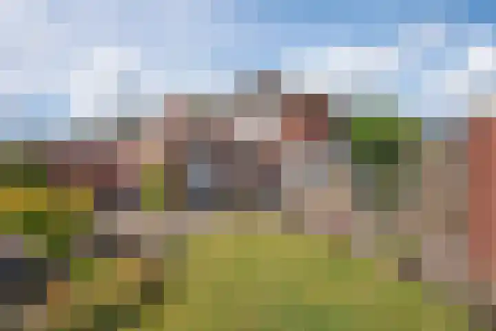 Bornerbroeksestraat 55 Borne thumbnail 27