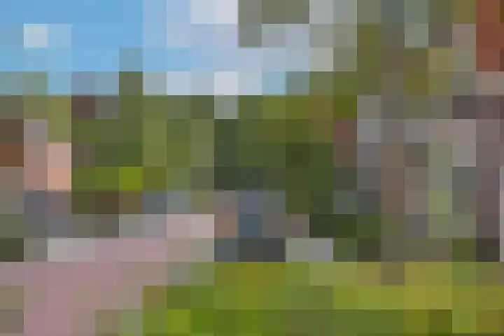Bornerbroeksestraat 55 Borne thumbnail 32
