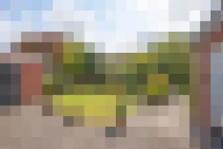 Bornerbroeksestraat 55 Borne thumbnail 4