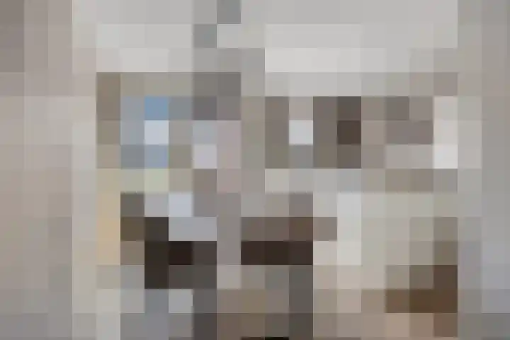 Bornerbroeksestraat 63 Borne thumbnail 10