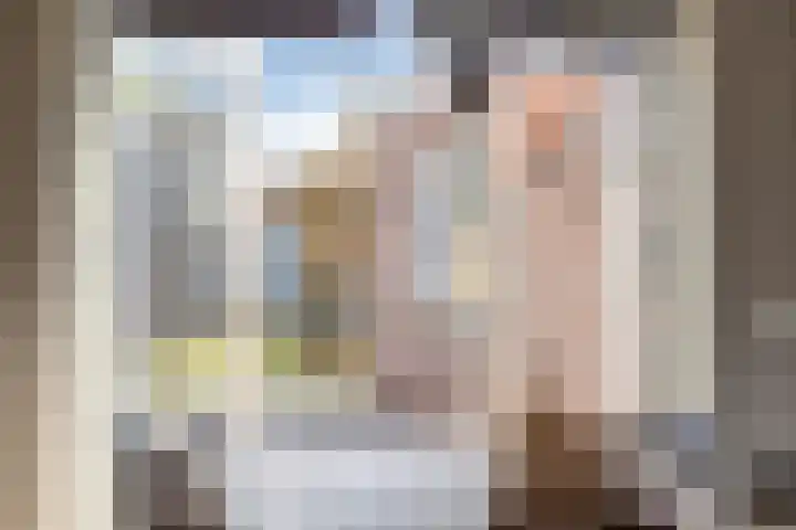 Bornerbroeksestraat 63 Borne thumbnail 12