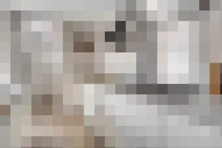 Bornerbroeksestraat 63 Borne thumbnail 15