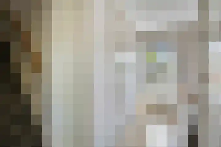 Bornerbroeksestraat 63 Borne thumbnail 18