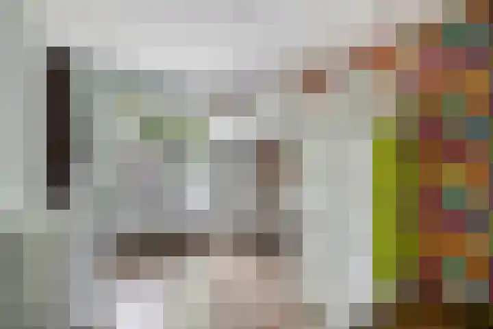 Bornerbroeksestraat 63 Borne thumbnail 19