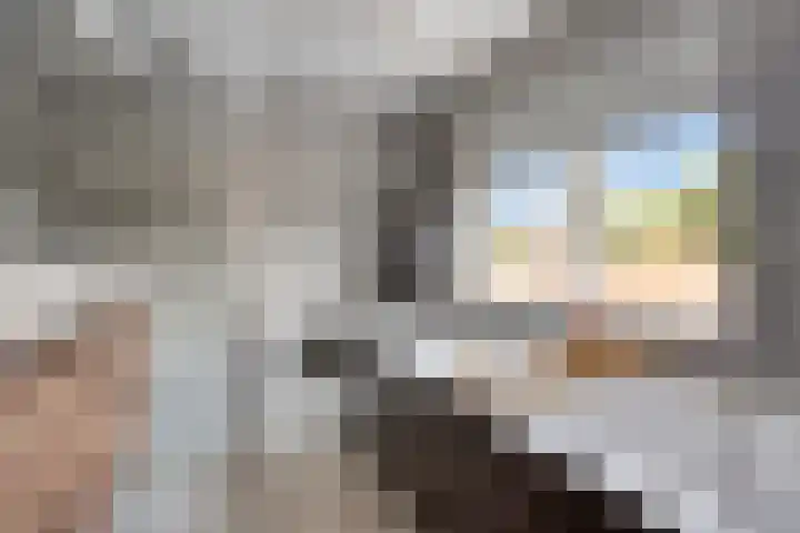 Bornerbroeksestraat 63 Borne thumbnail 22