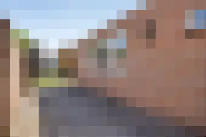 Bornerbroeksestraat 63 Borne thumbnail 25