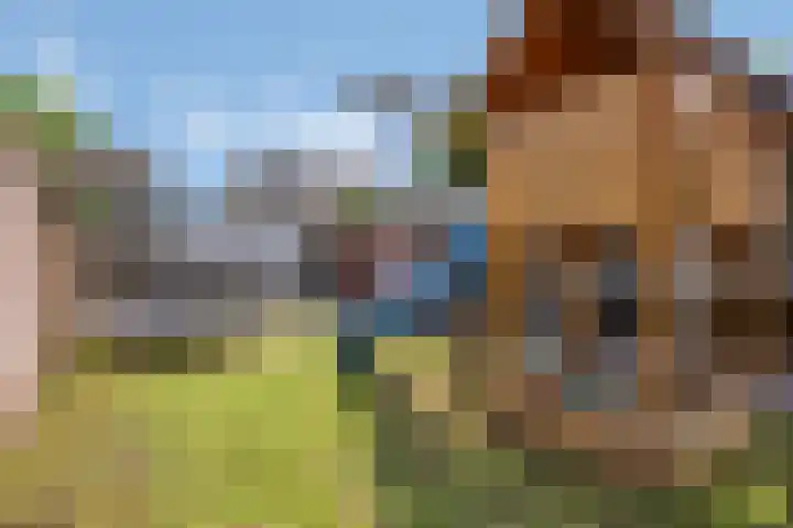 Bornerbroeksestraat 63 Borne thumbnail 27