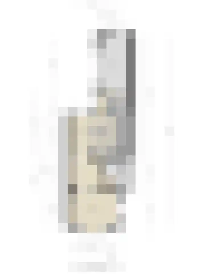 Bornerbroeksestraat 63 Borne thumbnail 31