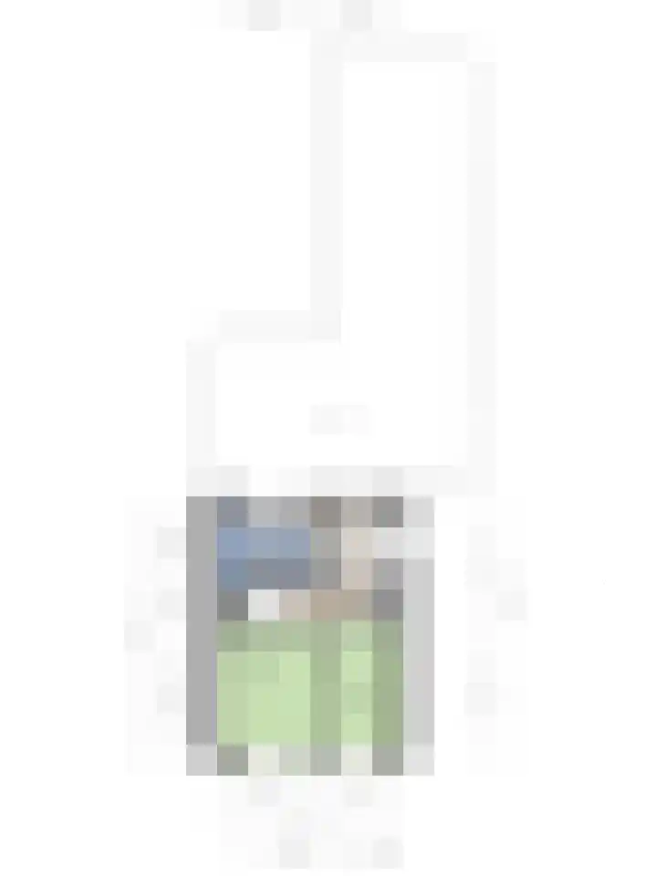 Bornerbroeksestraat 63 Borne thumbnail 32