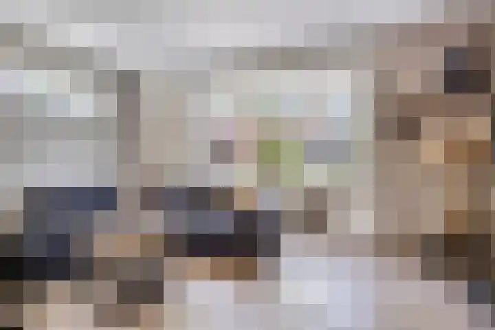Bornerbroeksestraat 63 Borne thumbnail 4