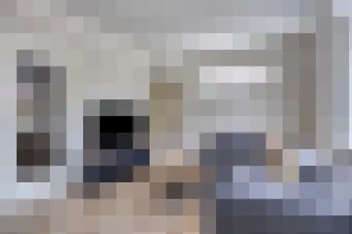 Bornerbroeksestraat 63 Borne thumbnail 5