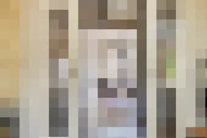 Bornerbroeksestraat 63 Borne thumbnail 7