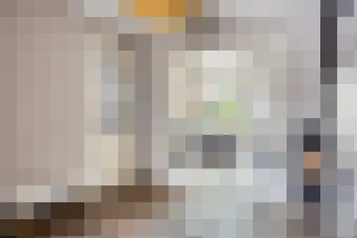 Bornerbroeksestraat 63 Borne thumbnail 8