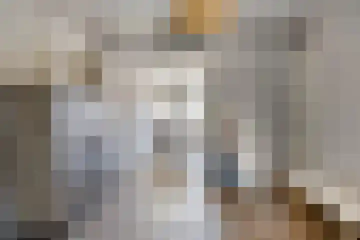 Bornerbroeksestraat 63 Borne thumbnail 9