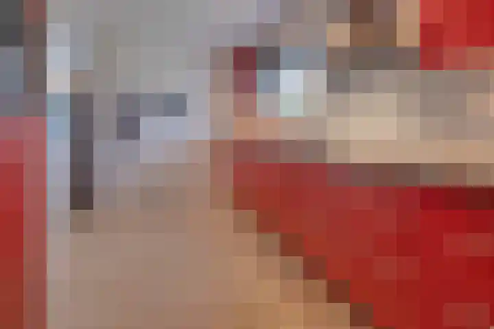Bornerkapelstraat 13 Born thumbnail 12