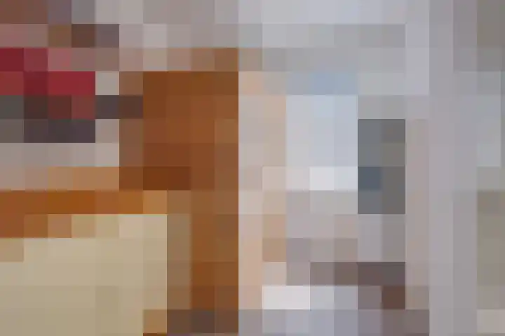 Bornerkapelstraat 13 Born thumbnail 18