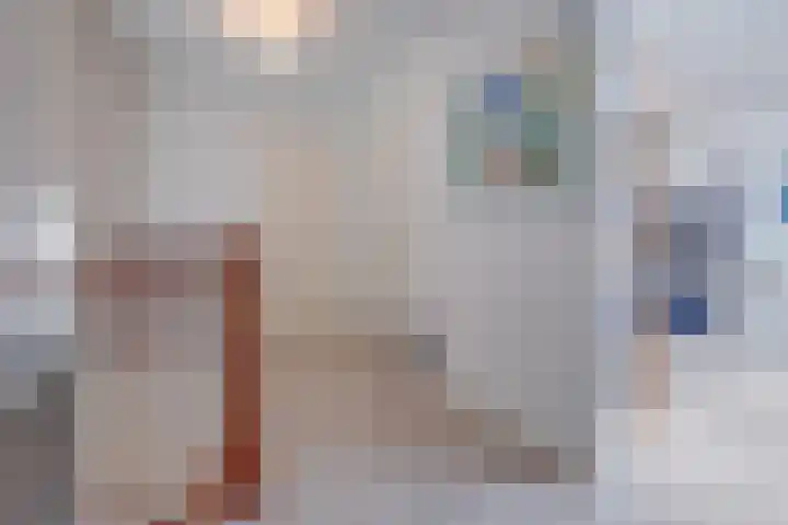 Bornerkapelstraat 13 Born thumbnail 22