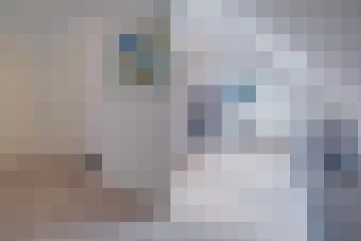 Bornerkapelstraat 13 Born thumbnail 23