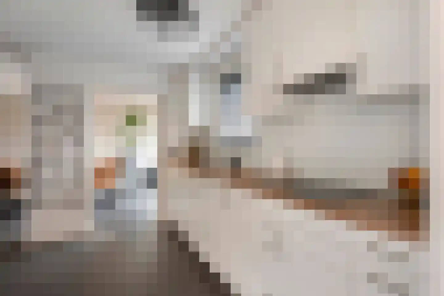 Bornerkapelstraat 15 Born thumbnail 18