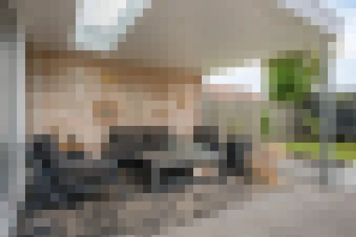 Bornerkapelstraat 15 Born thumbnail 39