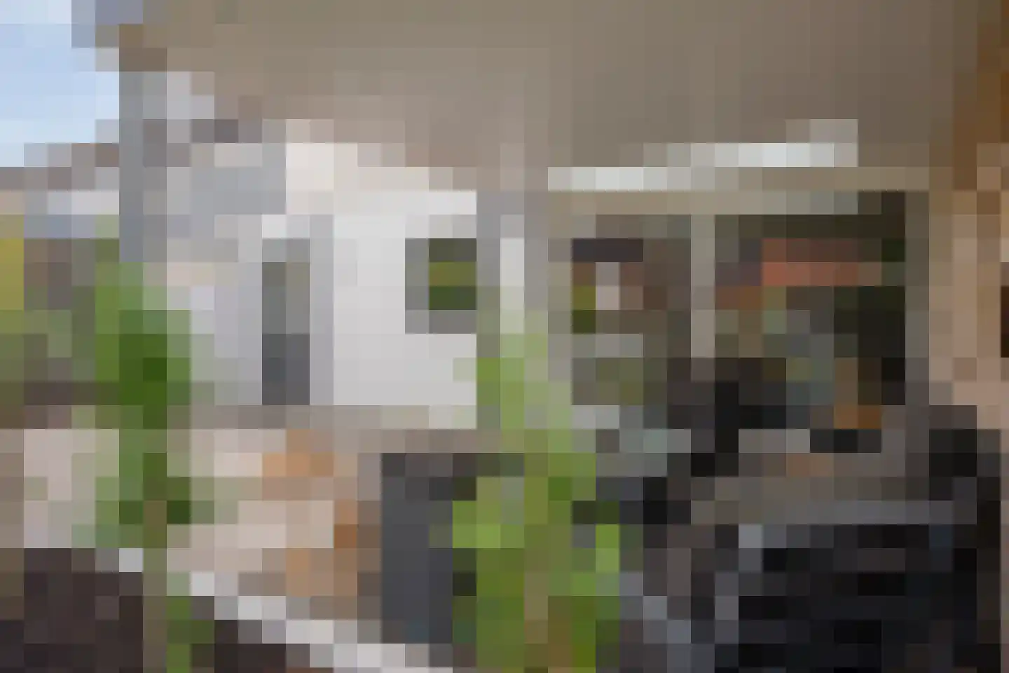 Bornerkapelstraat 15 Born thumbnail 40