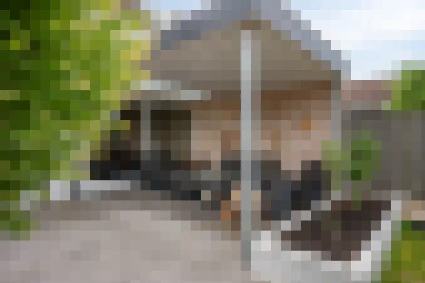 Bornerkapelstraat 15 Born thumbnail 41
