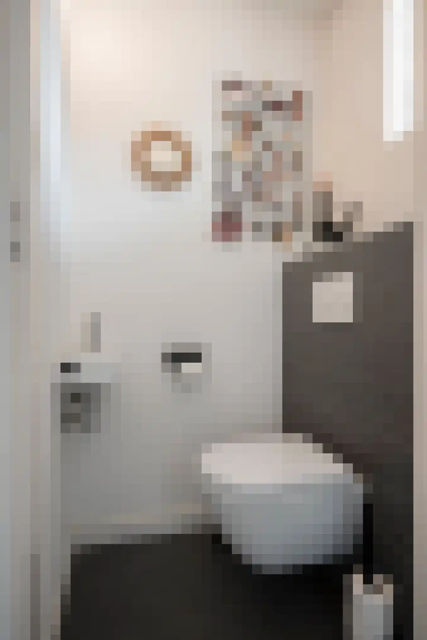 Bornerkapelstraat 15 Born thumbnail 7