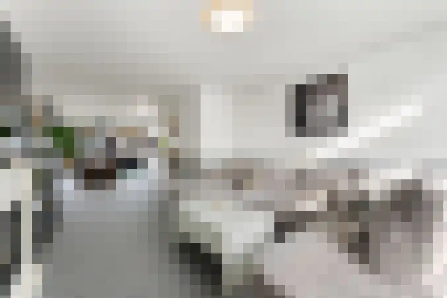 Bornerkapelstraat 19 Born thumbnail 20