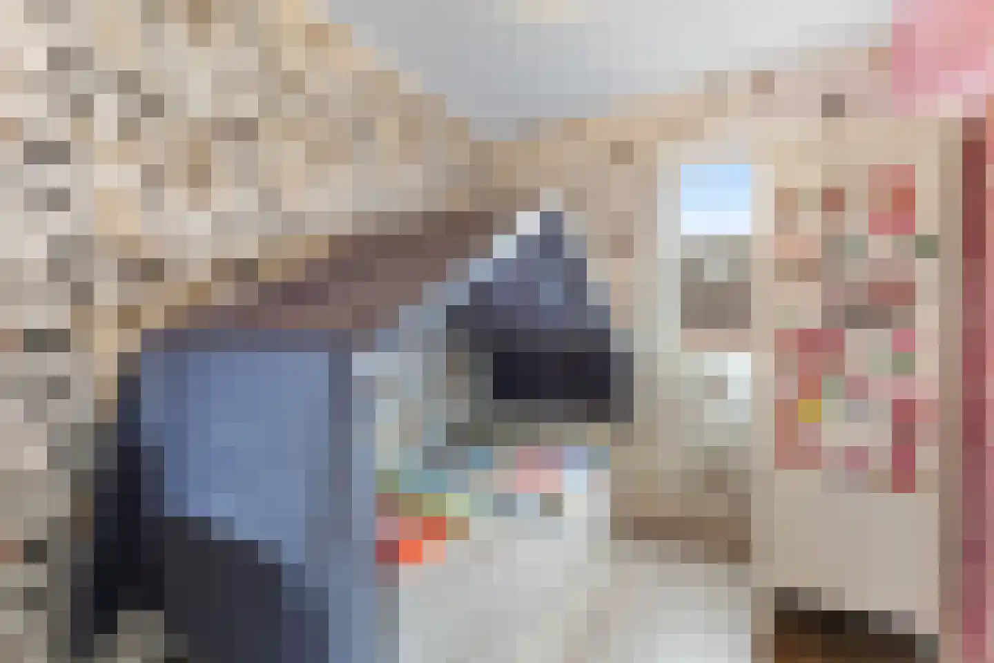 Bornerkapelstraat 19 Born thumbnail 33