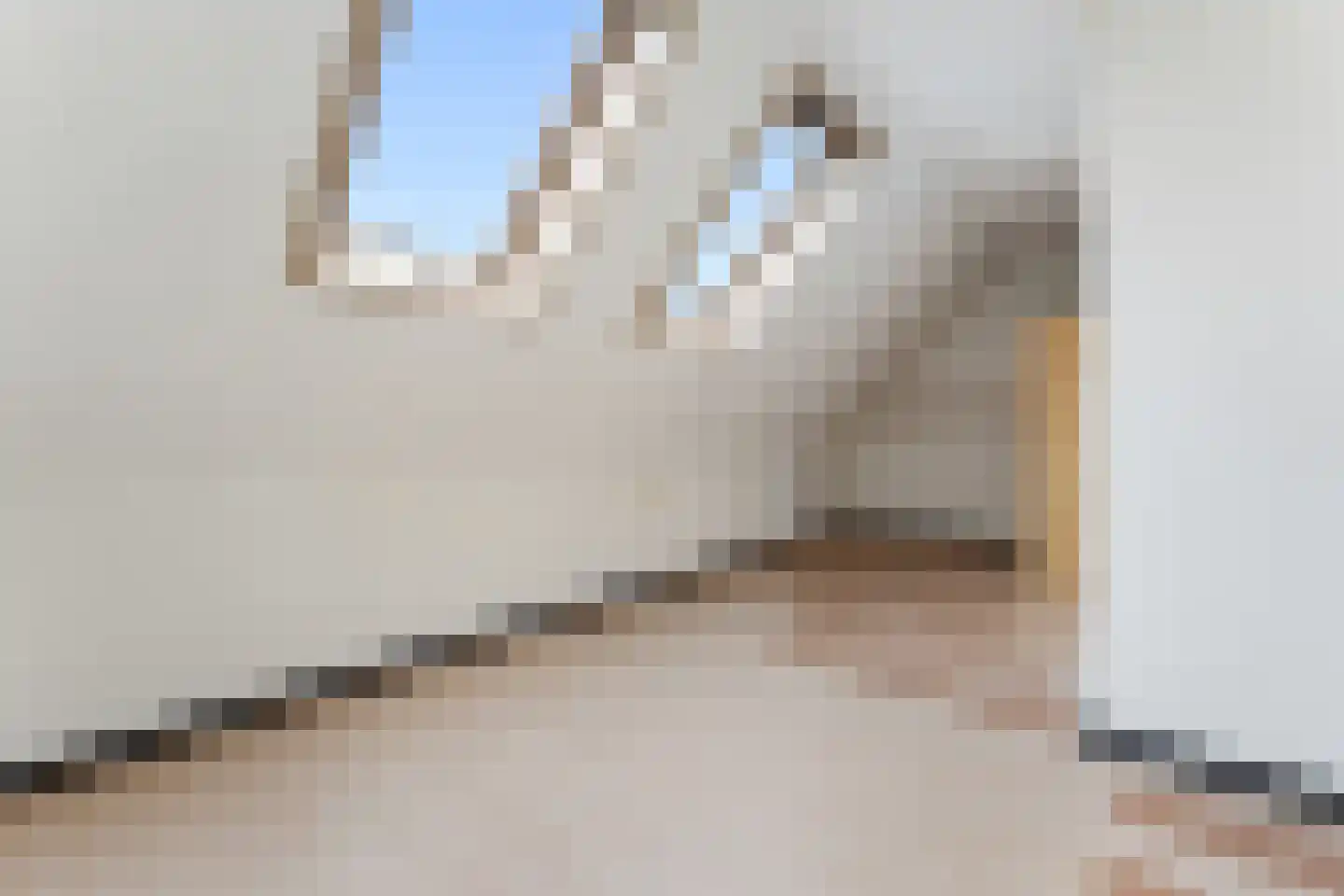 Bornerkapelstraat 19 Born thumbnail 41