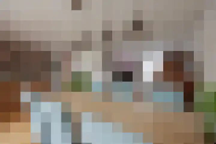Bornerkapelstraat 21 Born thumbnail 11