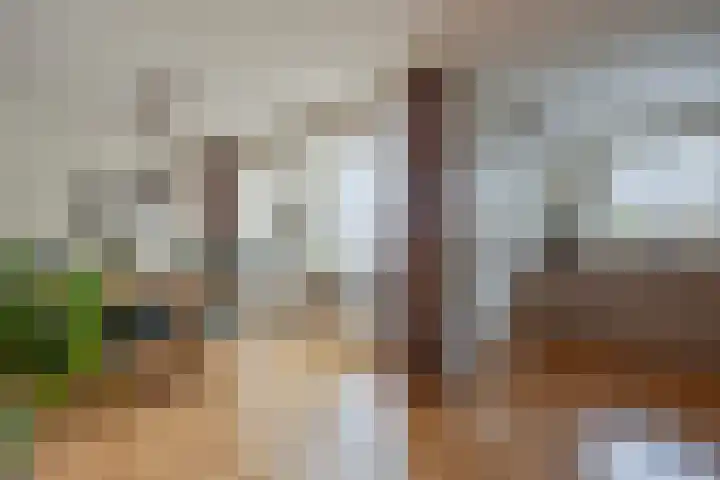 Bornerkapelstraat 21 Born thumbnail 12