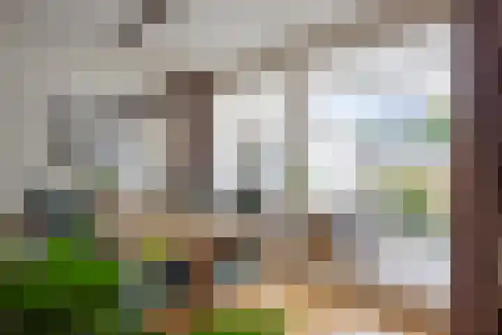 Bornerkapelstraat 21 Born thumbnail 13