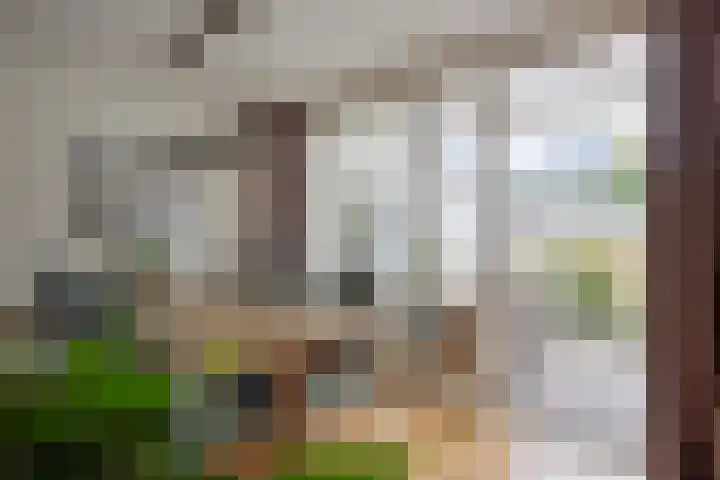 Bornerkapelstraat 21 Born thumbnail 14