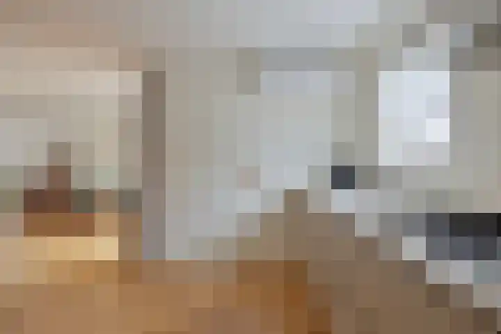Bornerkapelstraat 21 Born thumbnail 18