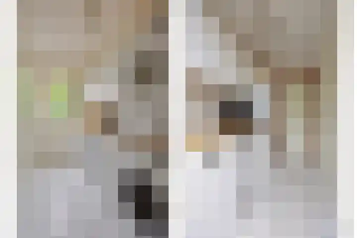 Bornerkapelstraat 21 Born thumbnail 20