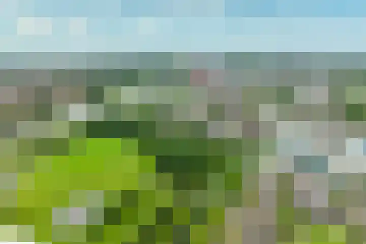 Bornerkapelstraat 21 Born thumbnail 23
