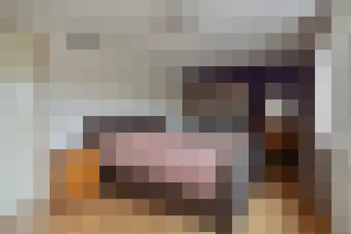 Bornerkapelstraat 21 Born thumbnail 24