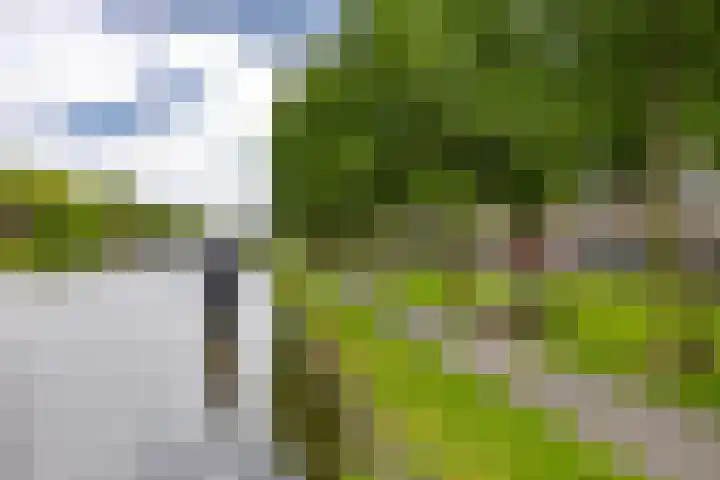 Bornerkapelstraat 21 Born thumbnail 28