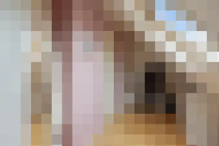 Bornerkapelstraat 21 Born thumbnail 33