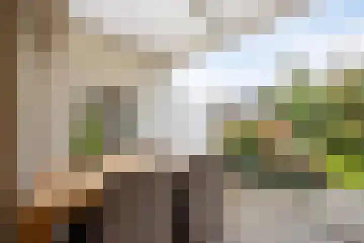 Bornerkapelstraat 21 Born thumbnail 36
